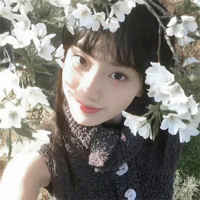 洛丽塔俱乐部的情歌